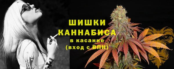 твердый Алзамай