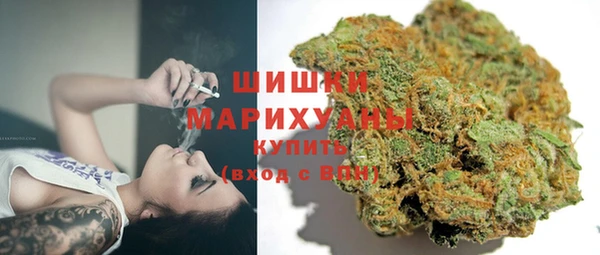 ПСИЛОЦИБИНОВЫЕ ГРИБЫ Алексин