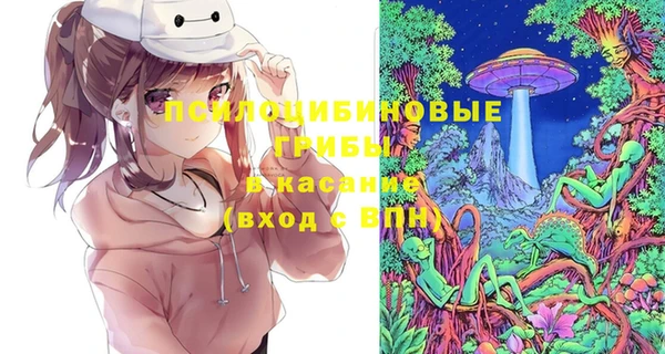 ПСИЛОЦИБИНОВЫЕ ГРИБЫ Алексин