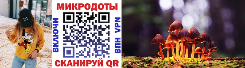 Псилоцибиновые грибы Magic Shrooms Купить Прокопьевск