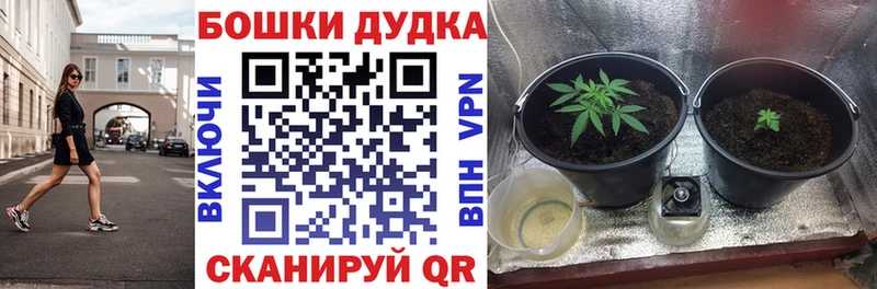 Канабис SATIVA & INDICA  Купить где  Прокопьевск 